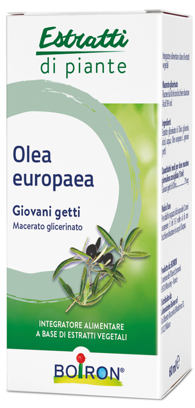 OLEA EUROPAEA BOIRON MACERATO GLICERICO 60 ML - Farmacia Dott. Pasquale Russo