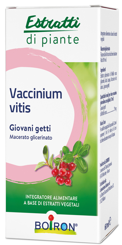 VACCINIUM VITIS MACERATO GLICERICO 60 ML - Farmacia Dott. Pasquale Russo