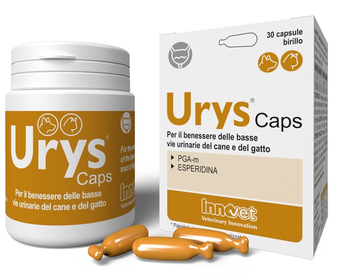 URYS CAPS 30 CAPSULE - Farmacia Dott. Pasquale Russo