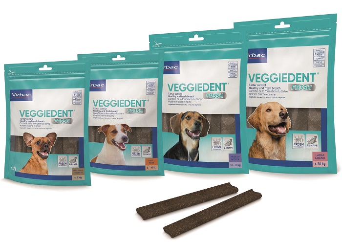 VEGGIEDENT FR3SH S 15 STICK - Farmacia Dott. Pasquale Russo